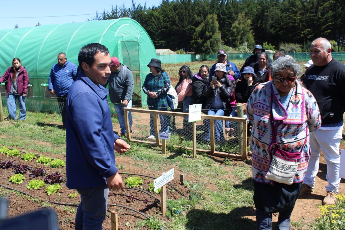 RavilesR's tweet photo. En Cañete Día de Campo Proyecto @iniachile @gorebiobio "Transferencia tecnológica y extensión agropecuaria para productores de Provincia de Arauco" con agricultores y agricultoras de comuna de @muniarauco en Unidad de Validación @Gendarmeria_CL CET Cañete. #Araucoagrosostenible. https://t.co/WBnA209UVS