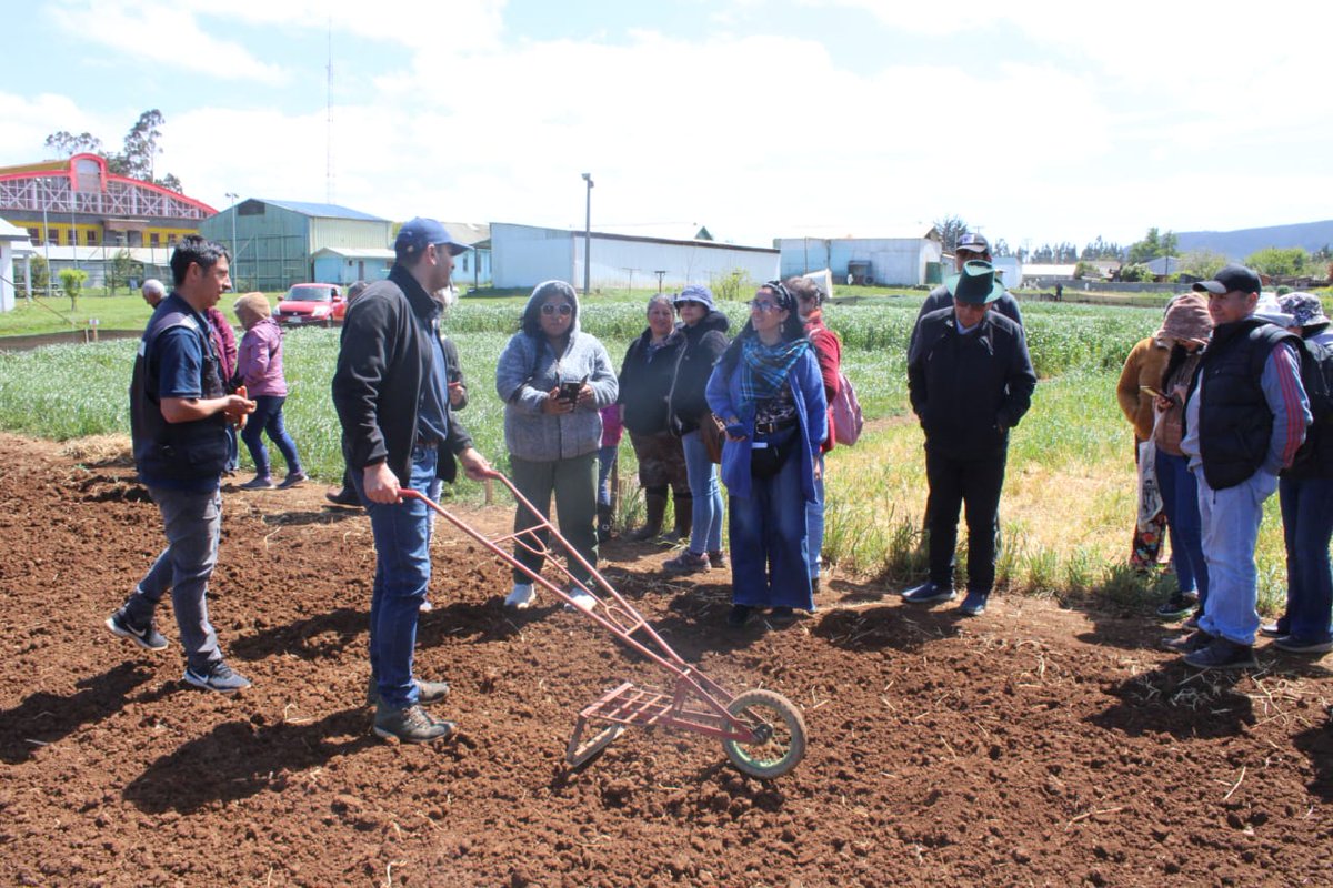 En Cañete Día de Campo Proyecto <a href="/iniachile/">INIA Chile</a> <a href="/gorebiobio/">Gobierno Regional del Biobío</a> "Transferencia tecnológica y extensión agropecuaria para productores de Provincia de Arauco" con agricultores y agricultoras de comuna de <a href="/muniarauco/">muniarauco</a> en Unidad de Validación <a href="/Gendarmeria_CL/">Gendarmería de Chile</a> CET Cañete. #Araucoagrosostenible.