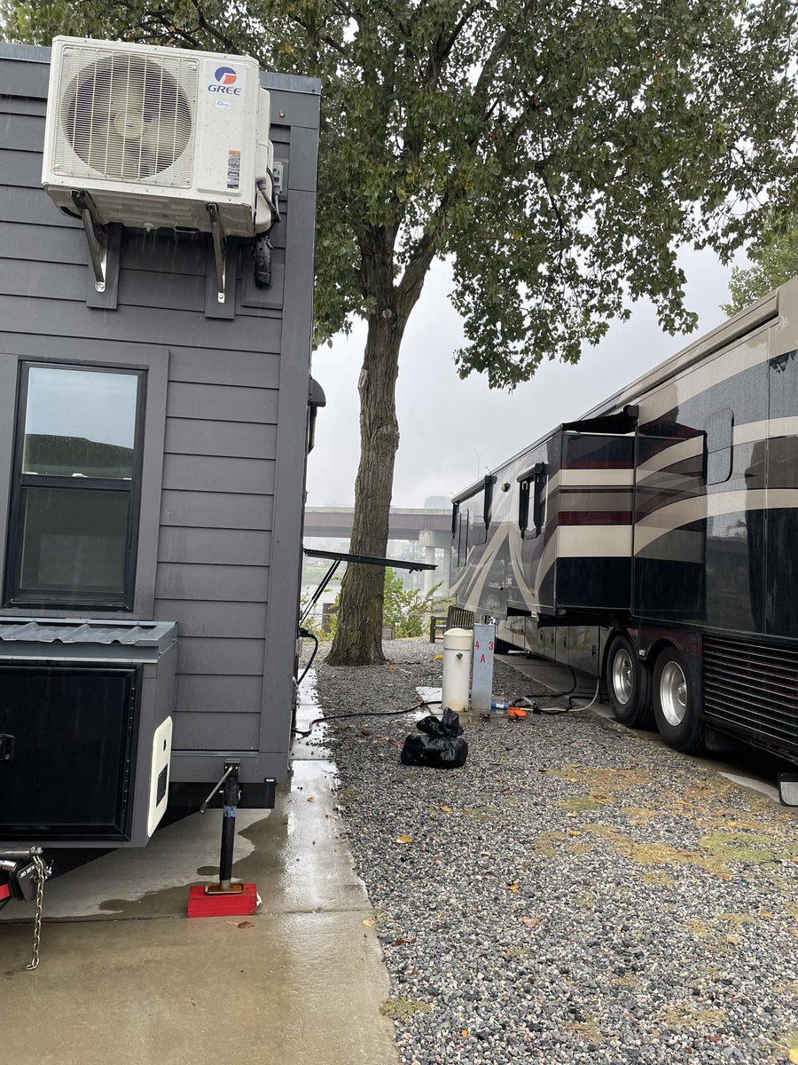 Charley says happy #blackcatappreciationday! We are traveling to Memphis today with the #cathouseonthemove