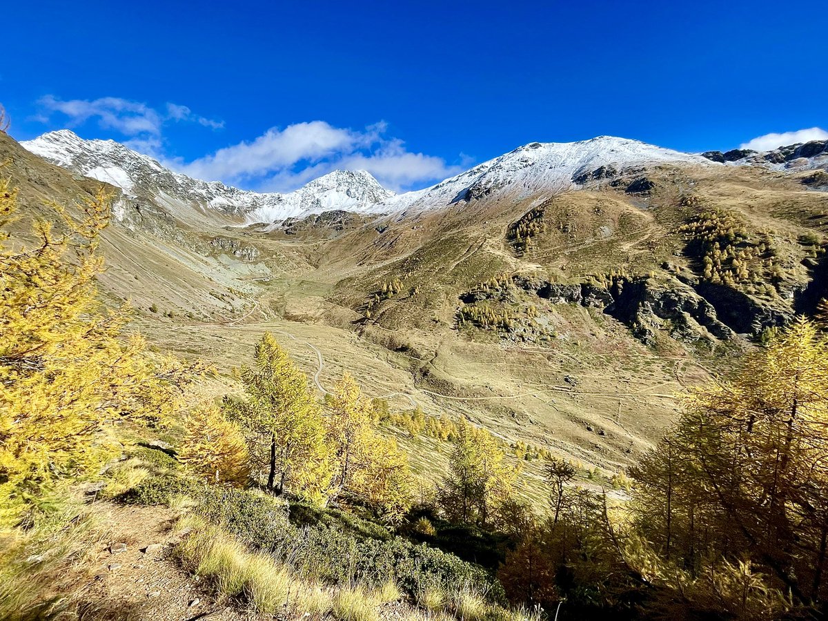 MaxMart4810's tweet photo. Le petit Mustang valdôtain #combedèche #iocorroqui #trailrunning #todaysplayground #inaltoorg #inaltotrail #quart #colcornet #croixdefana #grandpays #valchourda https://t.co/pjJR3Xey3a