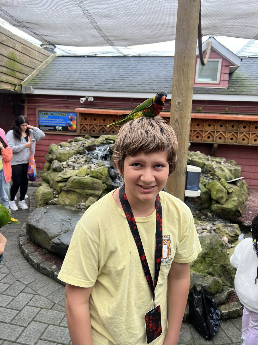 Mrs. 🥨’s tweet media