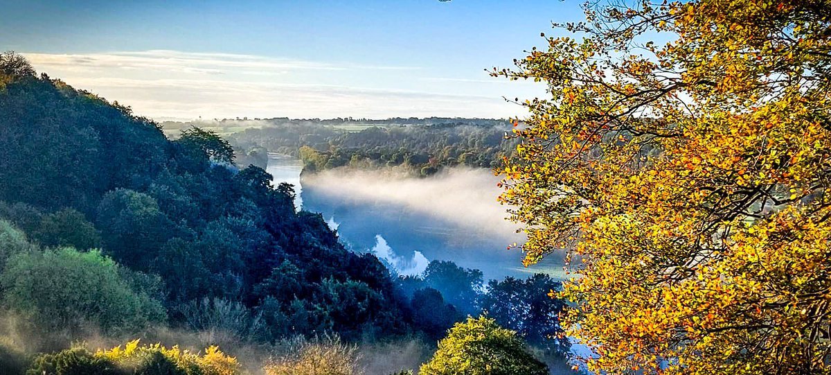 BBOWT's tweet photo. Gorgeous photo of our Hartslock nature reserve in South Oxfordshire at dawn, taken by volunteer stockwatcher Victoria Stevenson.
Come and see for yourself: https://t.co/KFAsRp02kW https://t.co/up4kCrobPw