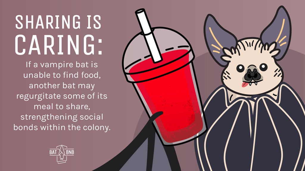 Bat Week Day 4:⁠
⁠
This isn't just bats being friendly – it’s a survival strategy! By sharing food, they create social bonds and reciprocation that may one day be their own lifesaver when food is scarce. 
⁠
Happy #BatWeek
batweek.org