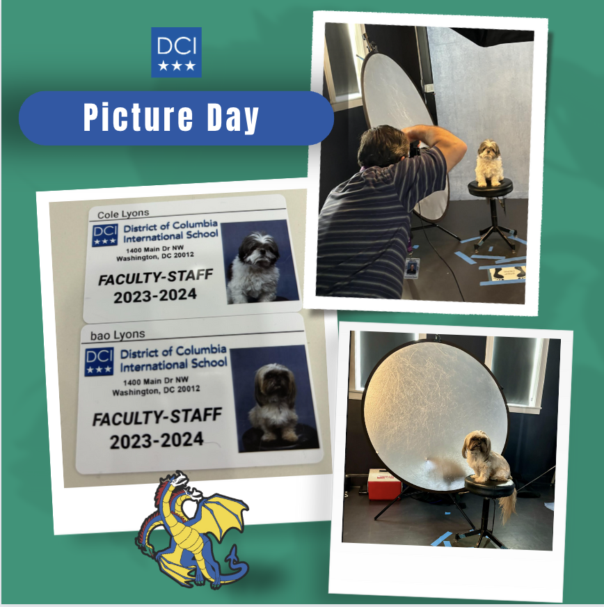 DCISchool's tweet image. 📸 It&apos;s Picture Day for our middle school students, and guess what? Our most loved DCI furry friends, Bao and Cole 🐶🐶, decided it was their time to shine, too! 
#FurryFriends #DragonDogs #SchoolPictureDay #PawsitivelyStylish