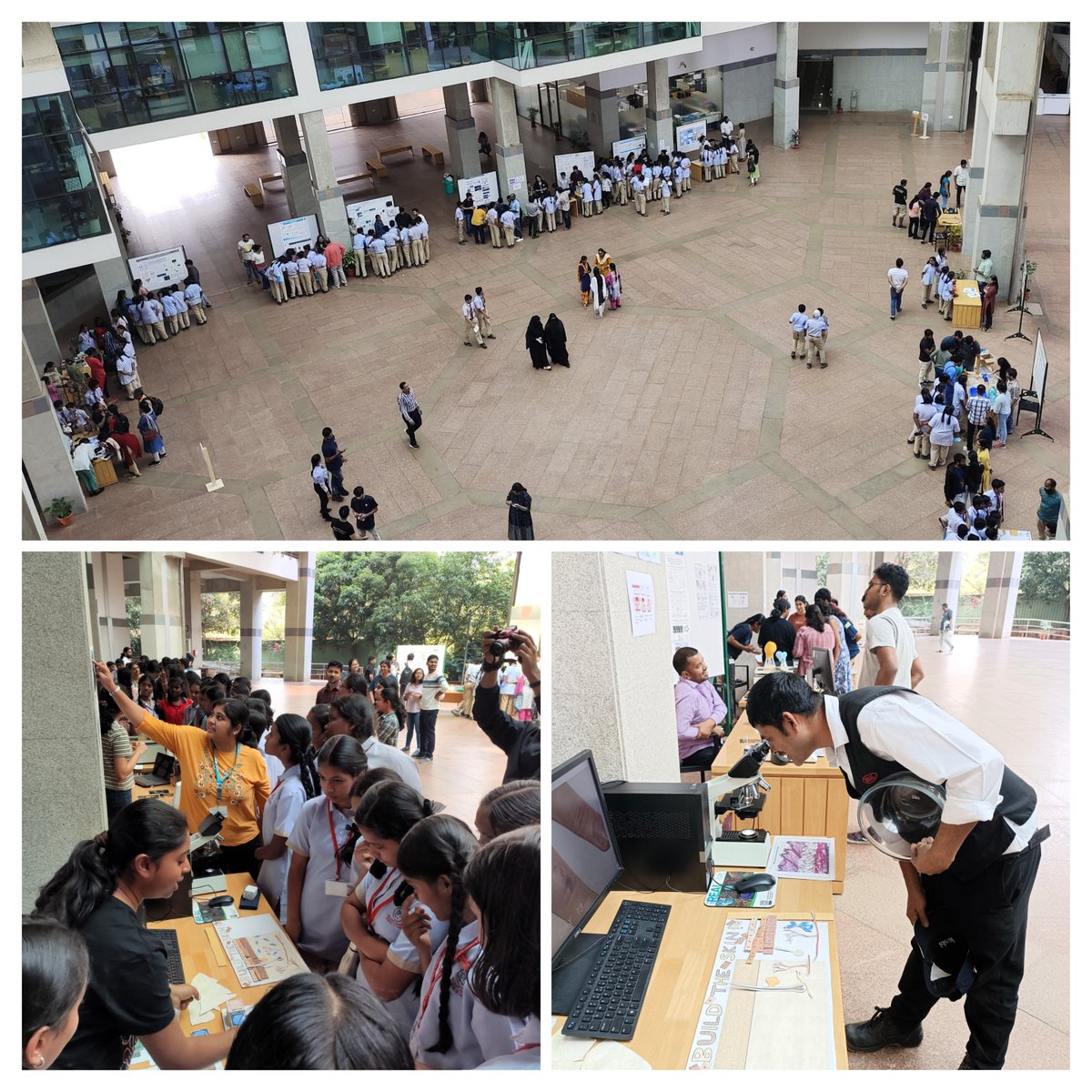 Skin homeostasis & inflammation lab tweet media