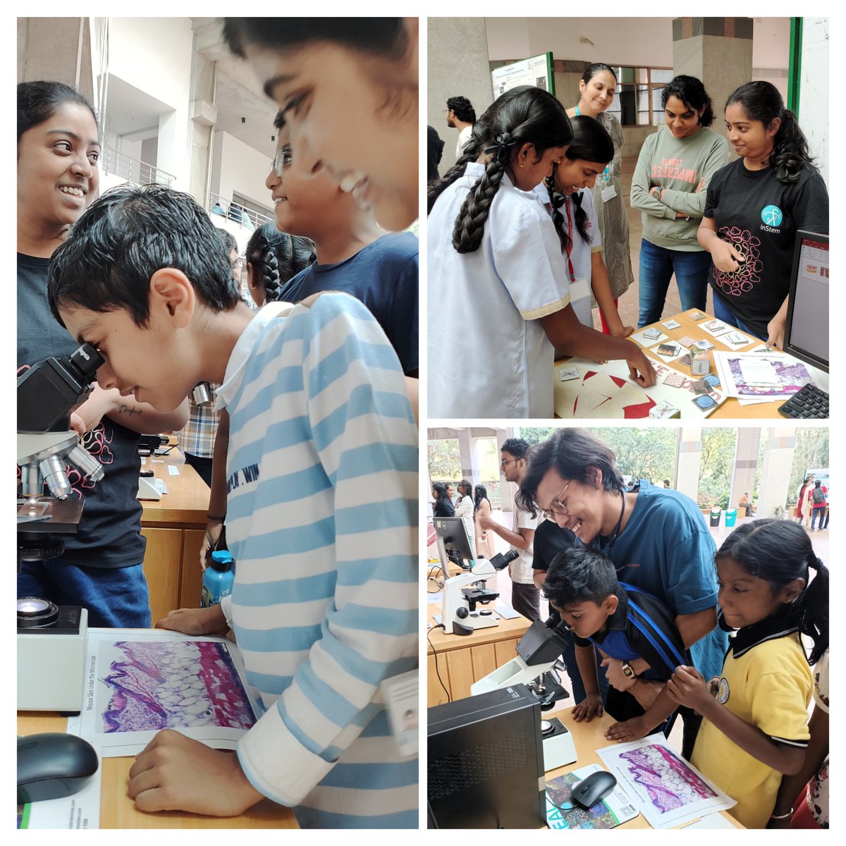 Skin homeostasis & inflammation lab tweet media