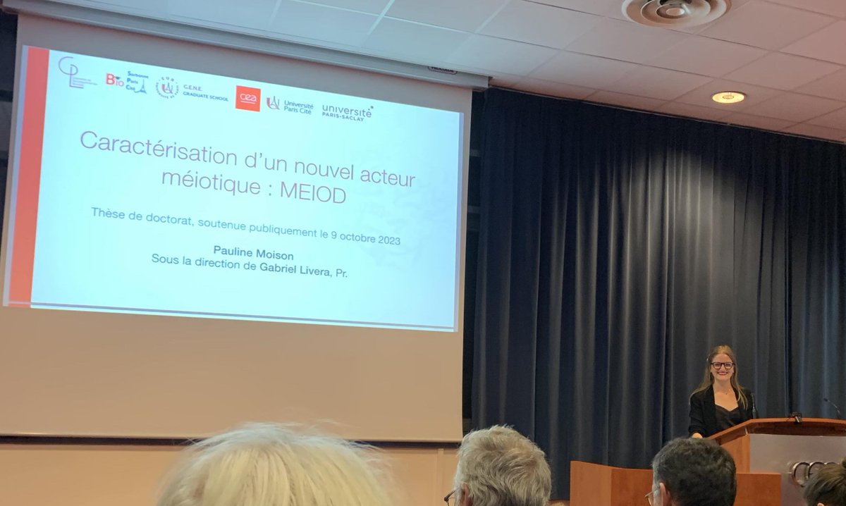 Pauline Moison tweet media