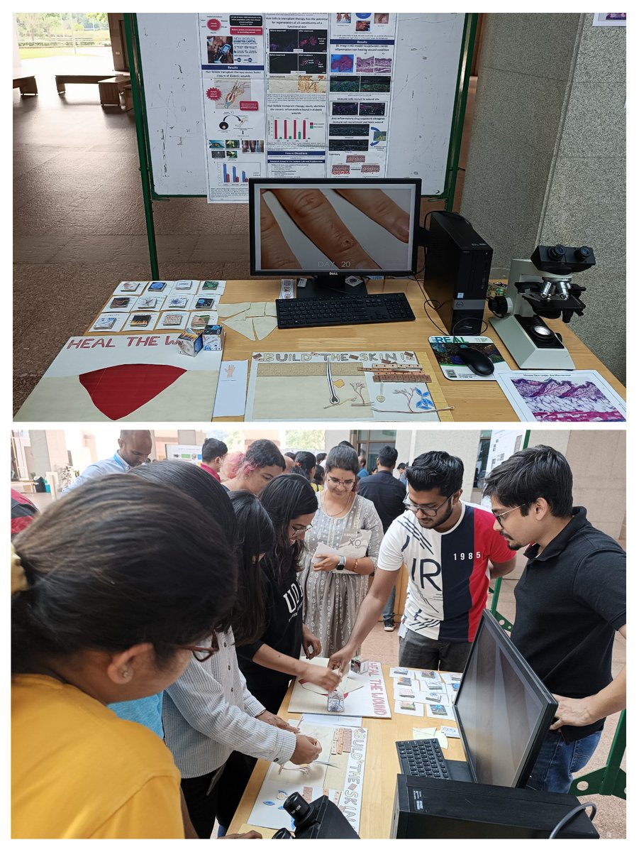 Skin homeostasis & inflammation lab tweet media