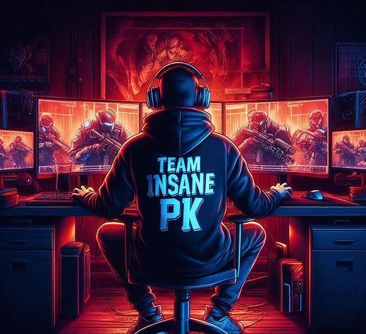 Team Insane PK Cyberattack