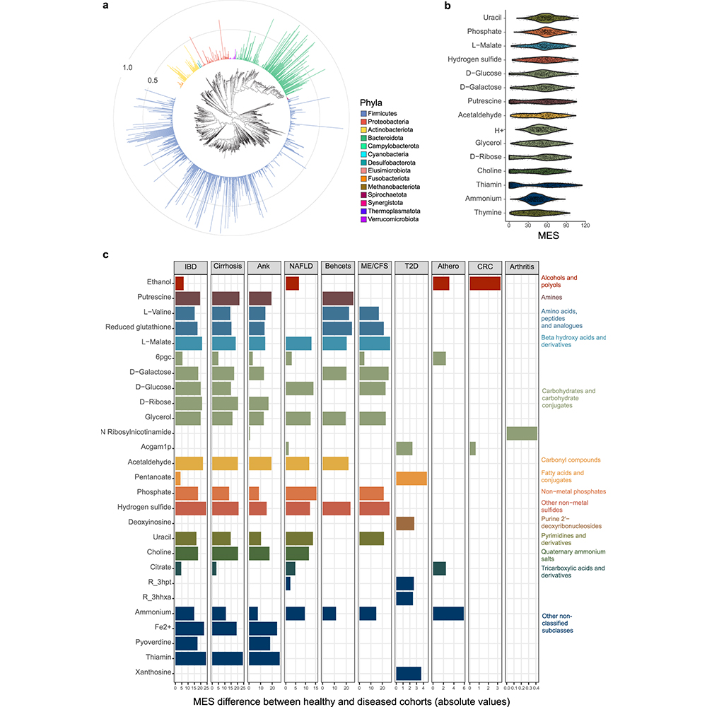 Nature Portfolio (@natureportfolio) on Twitter photo A paper in <a href="/NatureComms/">Nature Communications</a> presents a metabolite-exchange scoring system, designed to identify the potential microbial cross-feeding interactions in the human gut most affected in human diseases. go.nature.com/3SdWPGE A paper in <a href="/NatureComms/">Nature Communications</a> presents a metabolite-exchange scoring system, designed to identify the potential microbial cross-feeding interactions in the human gut most affected in human diseases. go.nature.com/3SdWPGE