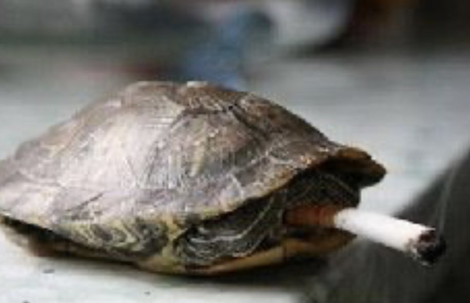 Don Ramon tweet media