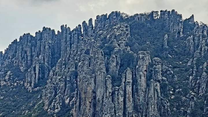 Universodelroc2's tweet photo. Cerro del Órgano en Sierra de San Miguelito. La Sierra no se rinde, no se vende... 

#sierradesanmiguelito

Luis Stevens

@julioastillero https://t.co/SFq7lUO3Y2