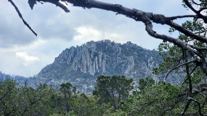 Universodelroc2's tweet photo. Cerro del Órgano en Sierra de San Miguelito. La Sierra no se rinde, no se vende... 

#sierradesanmiguelito

Luis Stevens

@julioastillero https://t.co/SFq7lUO3Y2