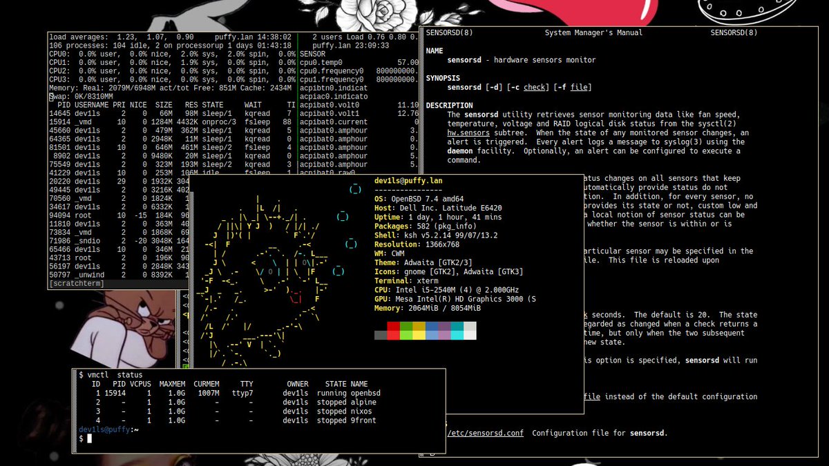 dev1lsconf's tweet image. los #ViernesDeEscritorio  son exclusivos para linux o puedo dejar esto por aqui??? #OpenBSD #CWM  ( mi laptop personal )