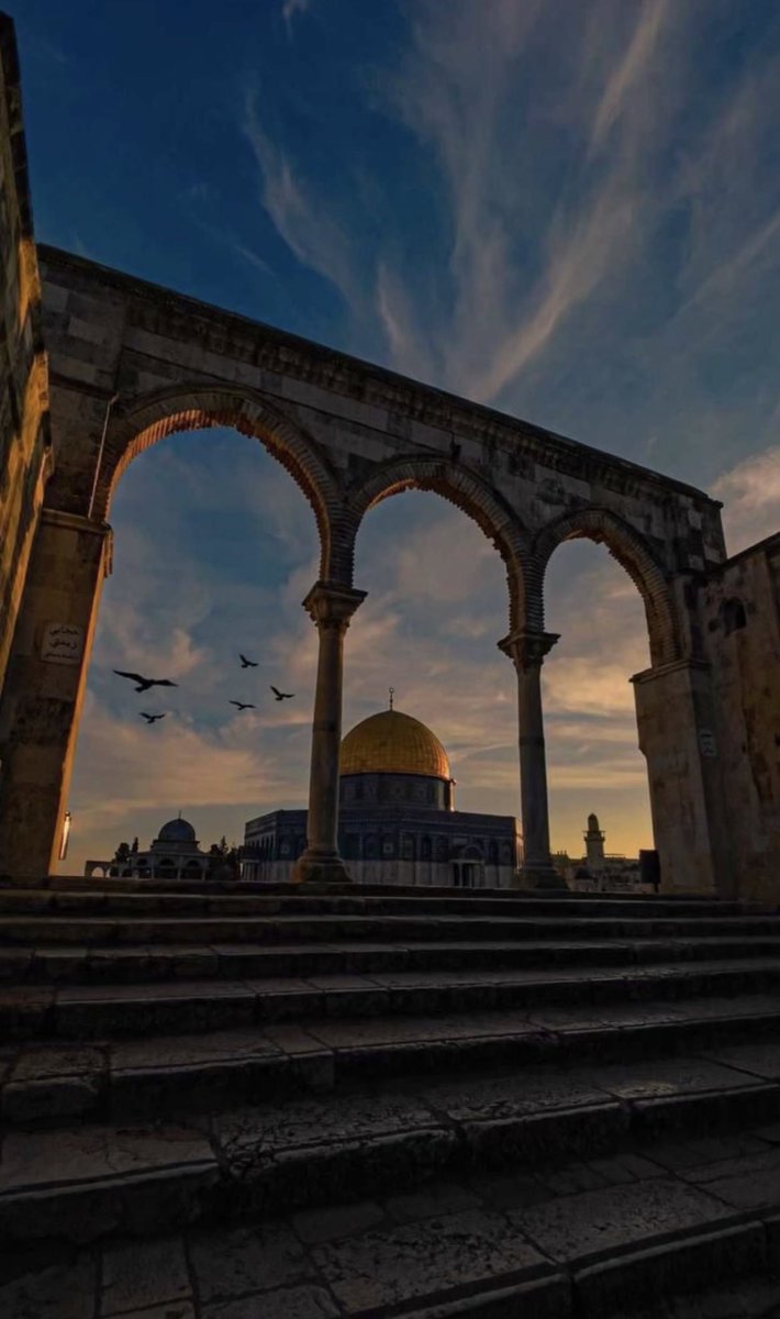 JUHINA_ox's tweet photo. #starlinkforgaza https://t.co/dSSJwFen3L