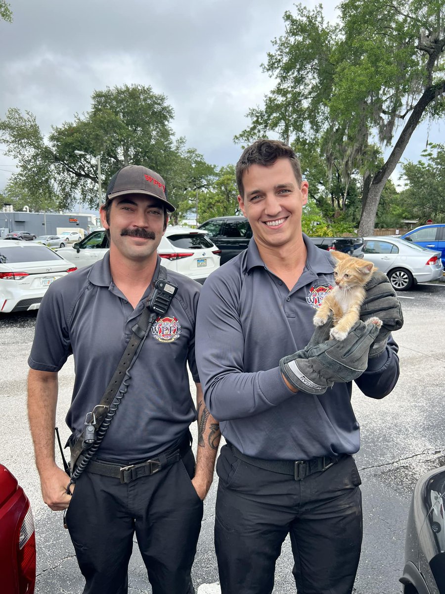 City of Winter Park tweet media