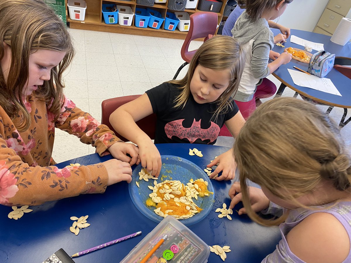 FaheyReid's tweet photo. Pumpkin investigation happening today. #math #science #teamwork @NLESDCA @PerlwinElem https://t.co/8weHBDBqL3
