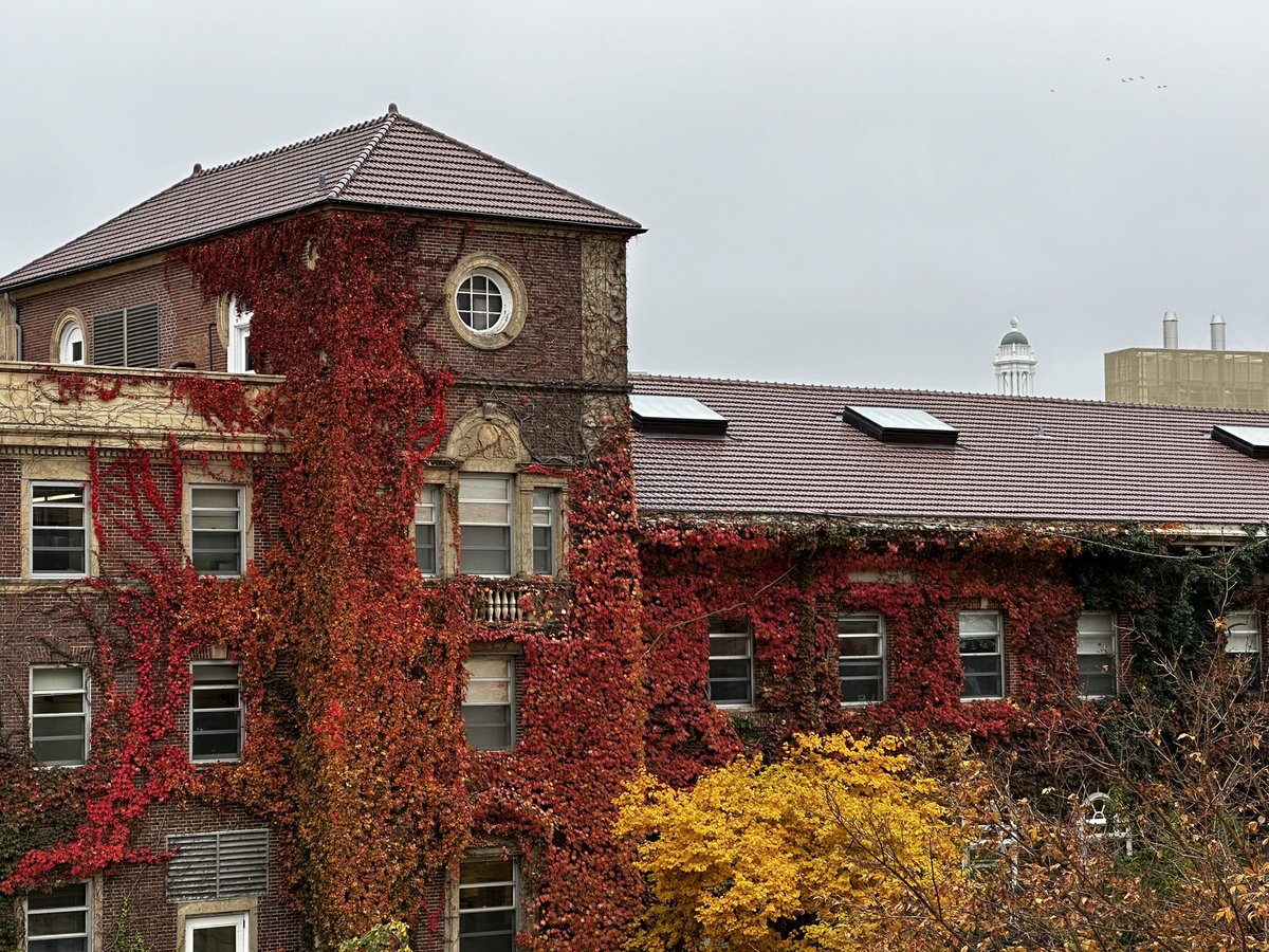UWMadisonCALS's tweet photo. #UWFall, CALS edition! 🍁 https://t.co/xgOMcUCcvE