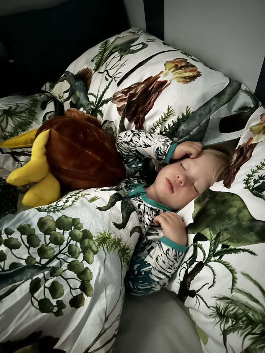 Nothing sweeter than a sleeping toddler 💚