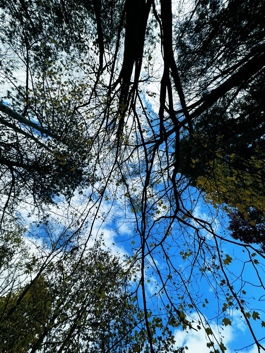 jforcejr84's tweet photo. “Get yourself an office you love” they said

POV: office 🏕️😍🔥

Make a memory outside this weekend 
Right @GetOutsyde ?!?!

#Algorand #AlgorandNFTs #RWA #landassets #outdoors #natureheals #PolygonNFTs 

#XRPLCommunity pay attention - #XRPLedger soon? 👀👀 https://t.co/LC6XHtkj4T