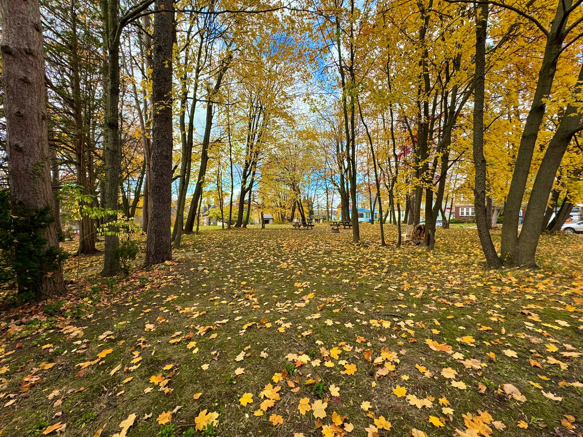 jforcejr84's tweet photo. “Get yourself an office you love” they said

POV: office 🏕️😍🔥

Make a memory outside this weekend 
Right @GetOutsyde ?!?!

#Algorand #AlgorandNFTs #RWA #landassets #outdoors #natureheals #PolygonNFTs 

#XRPLCommunity pay attention - #XRPLedger soon? 👀👀 https://t.co/LC6XHtkj4T