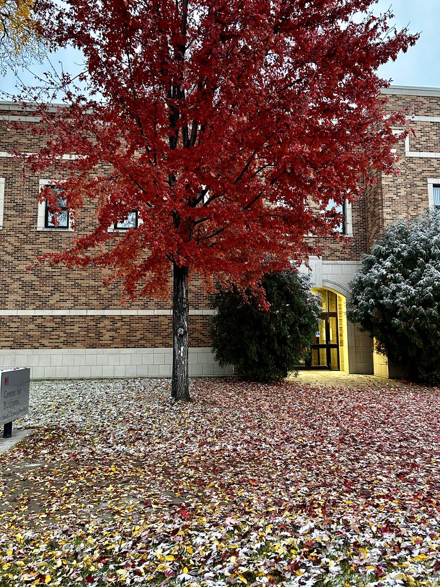 MSUM Grad Studies tweet media