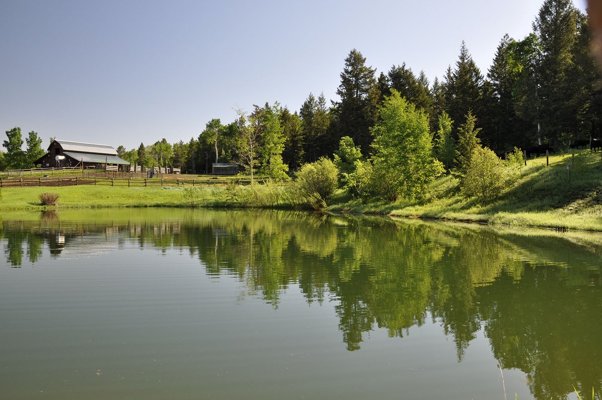 HallandHall's tweet photo. Minutes from Grand Targhee Ski Area, this end-of-road 120± acre ranch adjoins USFS, offers creeks, big views from its tasteful owner’s home, guest house and extensive barns
https://t.co/W54e62oyus https://t.co/gQ1iClHO98
