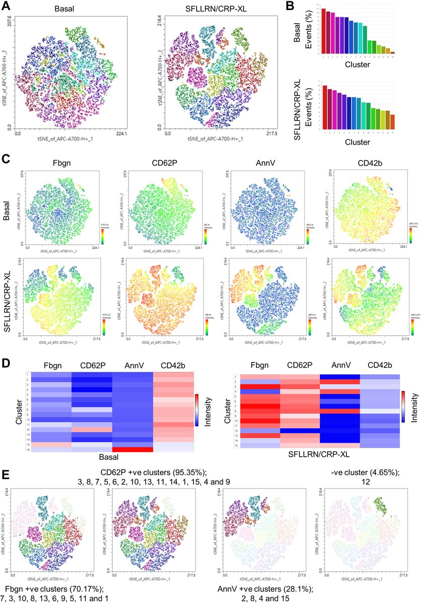 RPTH (@rpthjournal) on Twitter photo In this #RPTHMethodological article, Hindle et al have further described the key pre-analytical conditions for multiparameter #platelet flow cytometry to aid in discovery of novel subpopulations. #flowcytometry <a href="/Naseem_Lab/">Leeds Platelets</a>
Read all about it here: bit.ly/3QgReNa In this #RPTHMethodological article, Hindle et al have further described the key pre-analytical conditions for multiparameter #platelet flow cytometry to aid in discovery of novel subpopulations. #flowcytometry <a href="/Naseem_Lab/">Leeds Platelets</a>
Read all about it here: bit.ly/3QgReNa