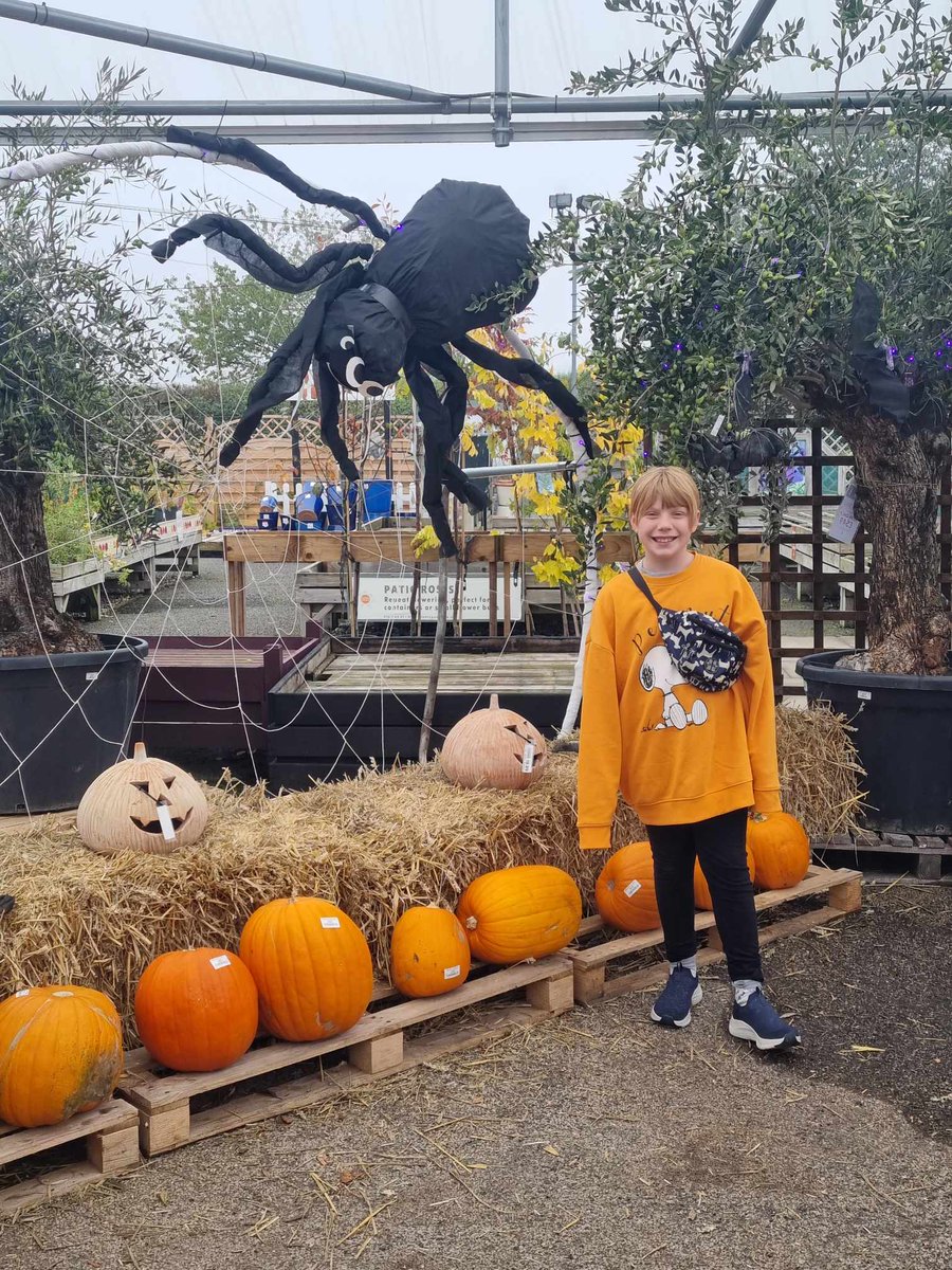 Jason Collen tweet media