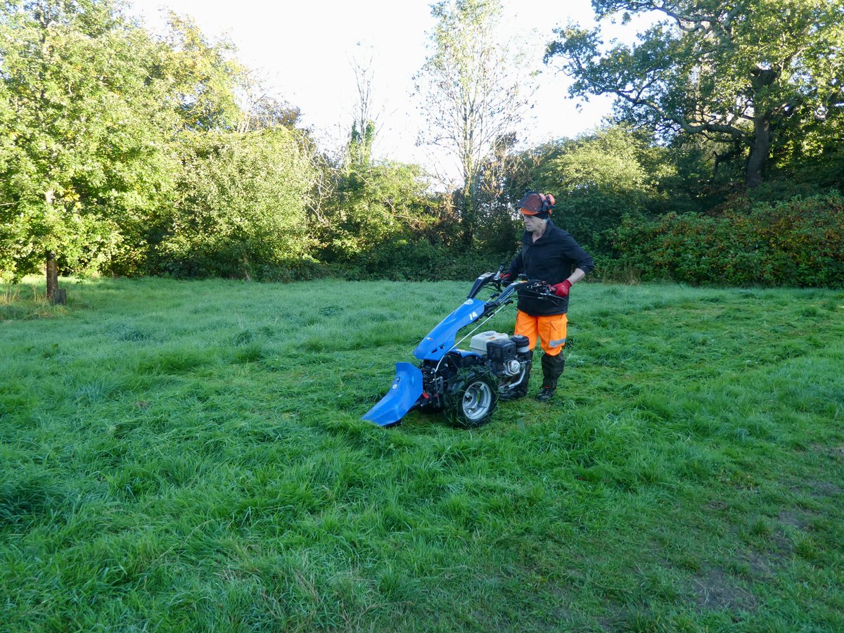 West Country Buzz tweet media