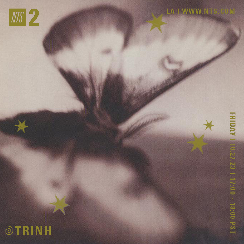 TRiNH playing indie, shoegaze, melancholia, and dream pop over at nts.live/2