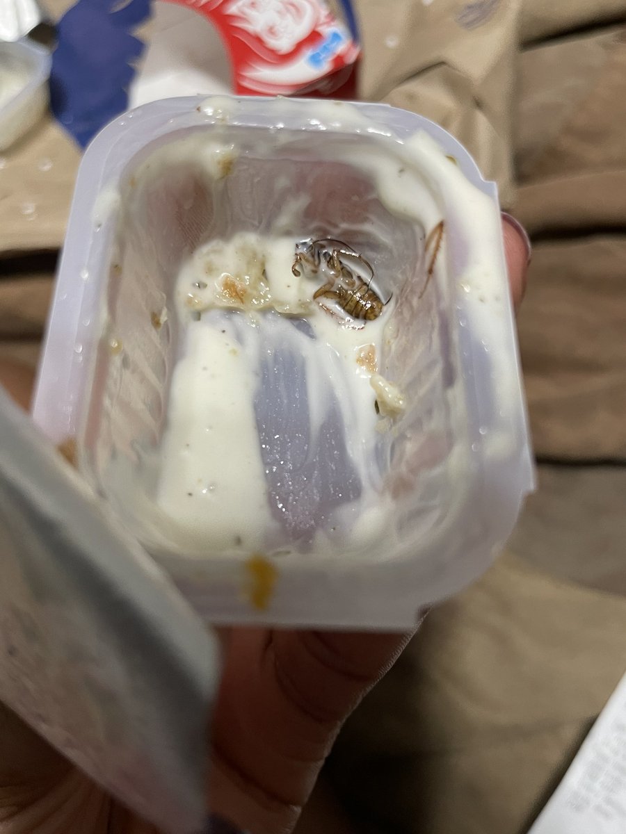 Camomochan's tweet photo. @Wendys Got food from your store yesterday and there was a big bug(roach)in my ranch dressing cup. I have called corporate and am looking forward to someone taking this seriously and responding back to get this issue resolved. @wendys https://t.co/bTycGNxgel