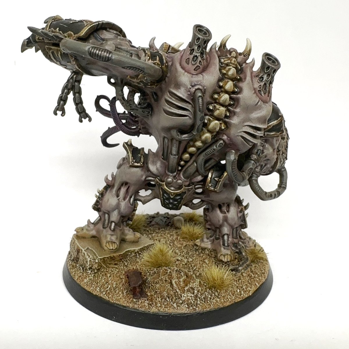 Big Steve tweet media