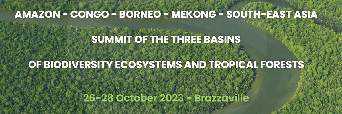 Who's at the #3basins summit and keen to talk? Please DM. Online accessibility has been terrible so far and only a handful of handles tracking what's going on (especially since Lula and Joko are both MIA, no other heads of state from Amazonia or Asia afrik21.africa/en/3-basins-su…).