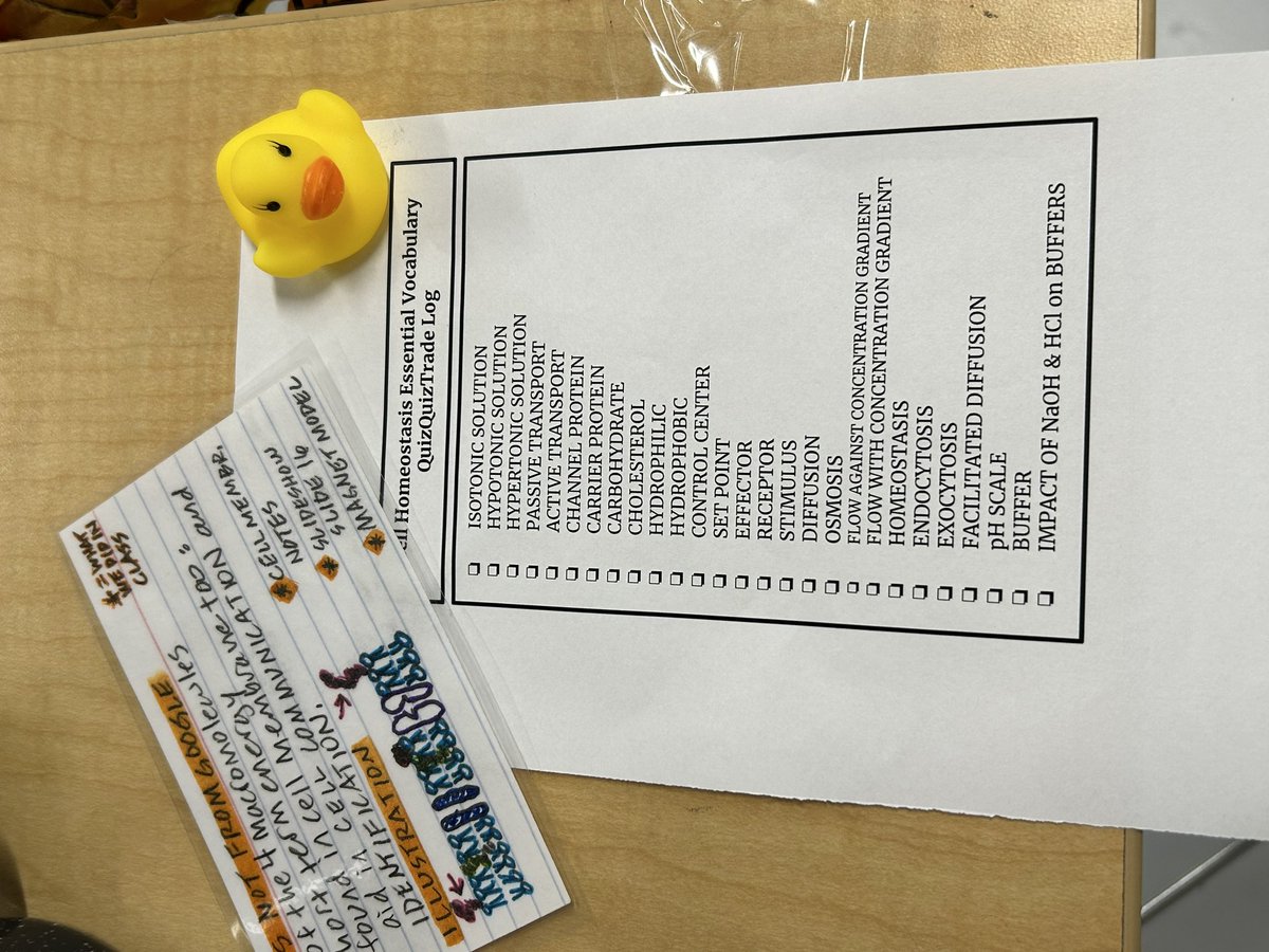 MaryDraves's tweet photo. One of my all time favorite cooperative learning strategies (.40 effect size) QuizQuizTrade!!@BereaCSD @nickadiscenza @BCSDBandza https://t.co/6Zpudaogzf