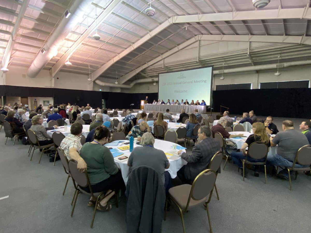 Ontario Sheep tweet media