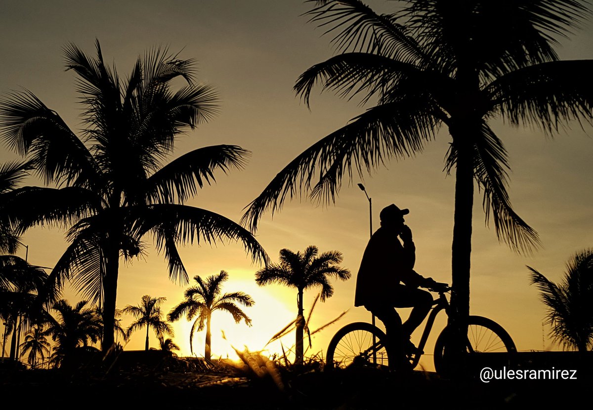 UlisesR35240503's tweet photo. Buenos días Campeche. 
Disfruten la vida en bici, saludos. https://t.co/a1TUqyG7KE