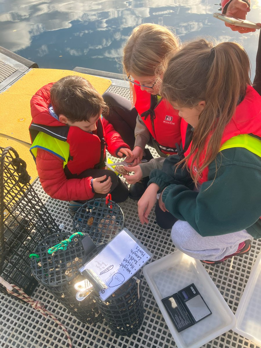 The founders of @BillionOyster say; - Restoration without education has no future - Articulating why getting kids out in the weather with wet salty socks and pockets full of smelly shells is as important as the practical side of lobbing oysters back in the sea. @seawilding