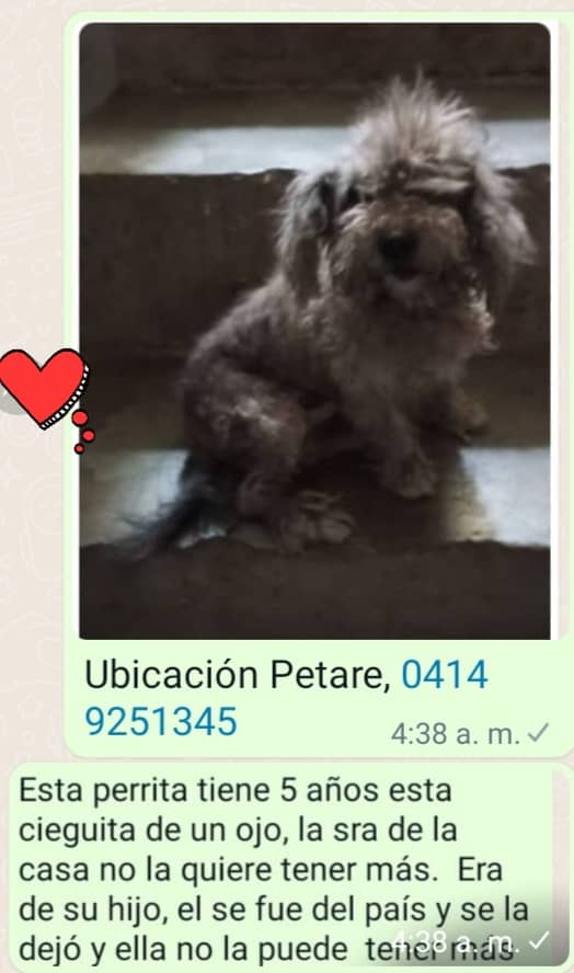 URGE hogar donde sea realmente querida, Petare RT <a href="/anakarinini/">violeta Flores</a>: