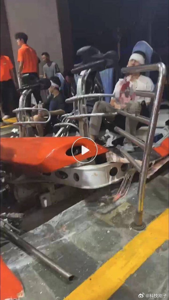 巴黎梧桐树停留的地方 tweet media