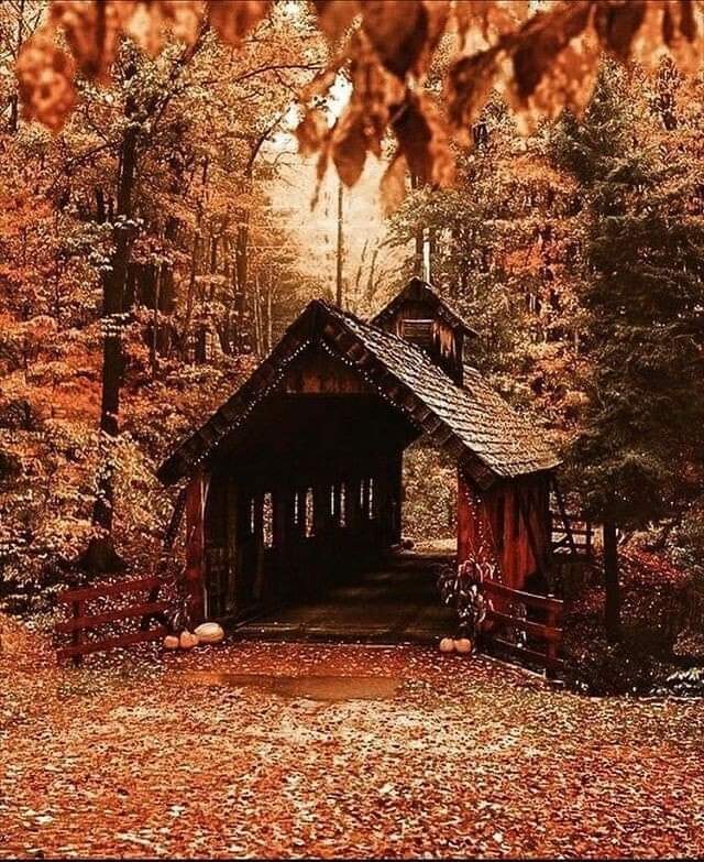 DarkGamerGirl6's tweet photo. Covered bridges are AWESOME!!! :) #PerfectForFall https://t.co/261ZLlkWgL