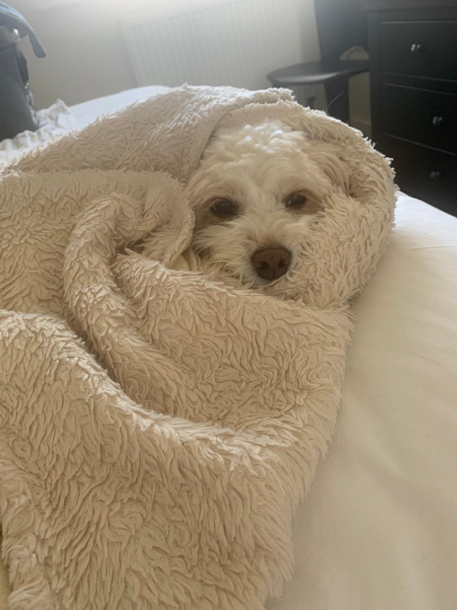 I can’t leave my blankie as it would be sad without me