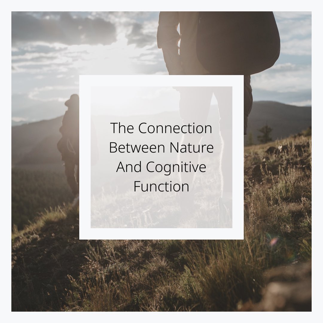 HelibrainCom's tweet photo. Nature's touch rejuvenates the mind! 🌳🧠

Dive into how the outdoors boosts creativity, memory, and mood. Connect with nature, connect with clarity. 🌿✨

Explore more: https://t.co/xC574XeGzq

#NatureBrainConnection #Helibrain https://t.co/1T3o58390n