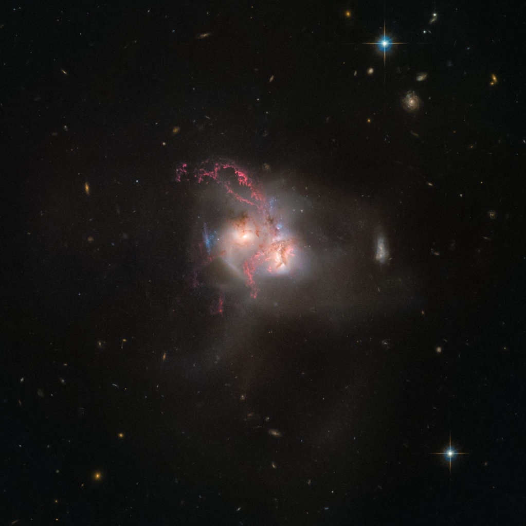 astronomy_free's tweet photo. The Wonders of Markarian 266: A Galaxy Collision in Ursa Major
#freeAstroSci #FollowTheScience #DidYouKnow #EducativeFeed #Science #Astronomy #research #Space #DeepSpace #Physics #Apod #fridayvibes #xf2023 #FridayFeeling
Read.. https://t.co/EGPHITJSRH https://t.co/gbNviqjEeO