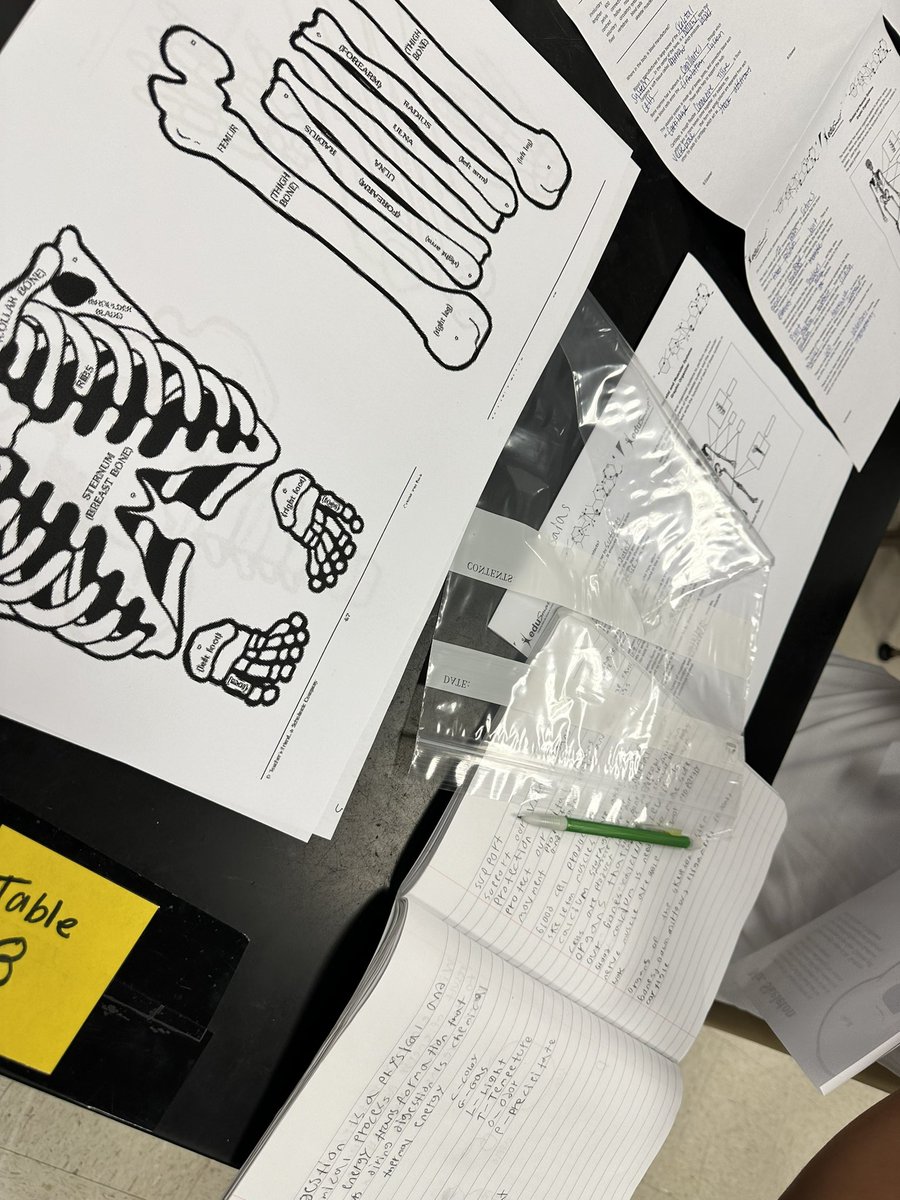 Ms. Romero tweet media