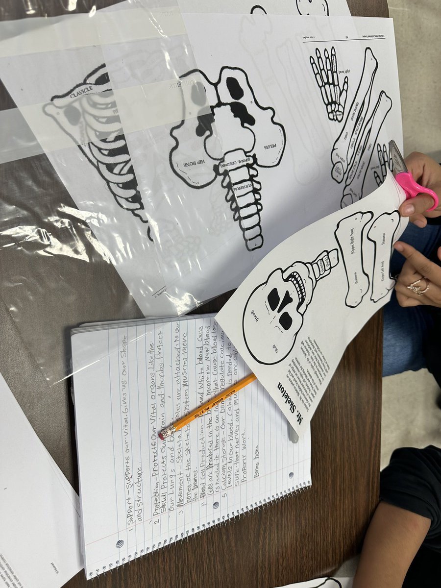 Ms. Romero tweet media