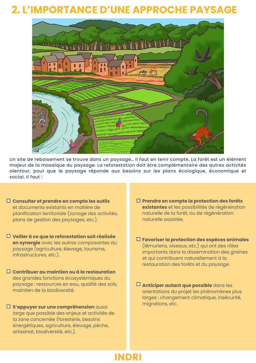 indrisolutions's tweet image. Il pleut, il pleut à Tana. 🌧️ La saison de reboisement va commencer tôt cette année ! Suite de notre série des 10 principes pour réussir la reforestation, illustrés par Pov. Aujourd'hui : l'importance d'une "approche paysage". En FR et MG. Partagez, diffusez 😉🌳  #reforestation