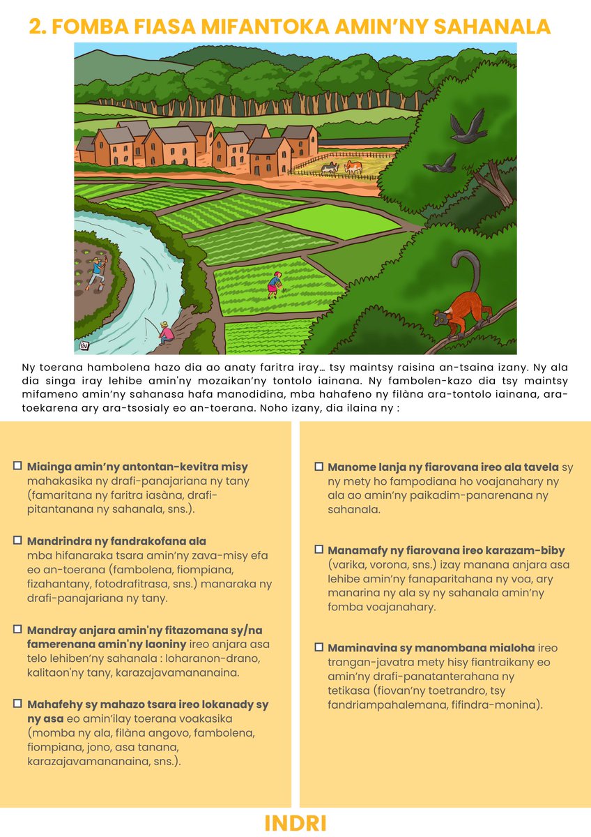 indrisolutions's tweet image. Il pleut, il pleut à Tana. 🌧️ La saison de reboisement va commencer tôt cette année ! Suite de notre série des 10 principes pour réussir la reforestation, illustrés par Pov. Aujourd'hui : l'importance d'une "approche paysage". En FR et MG. Partagez, diffusez 😉🌳  #reforestation