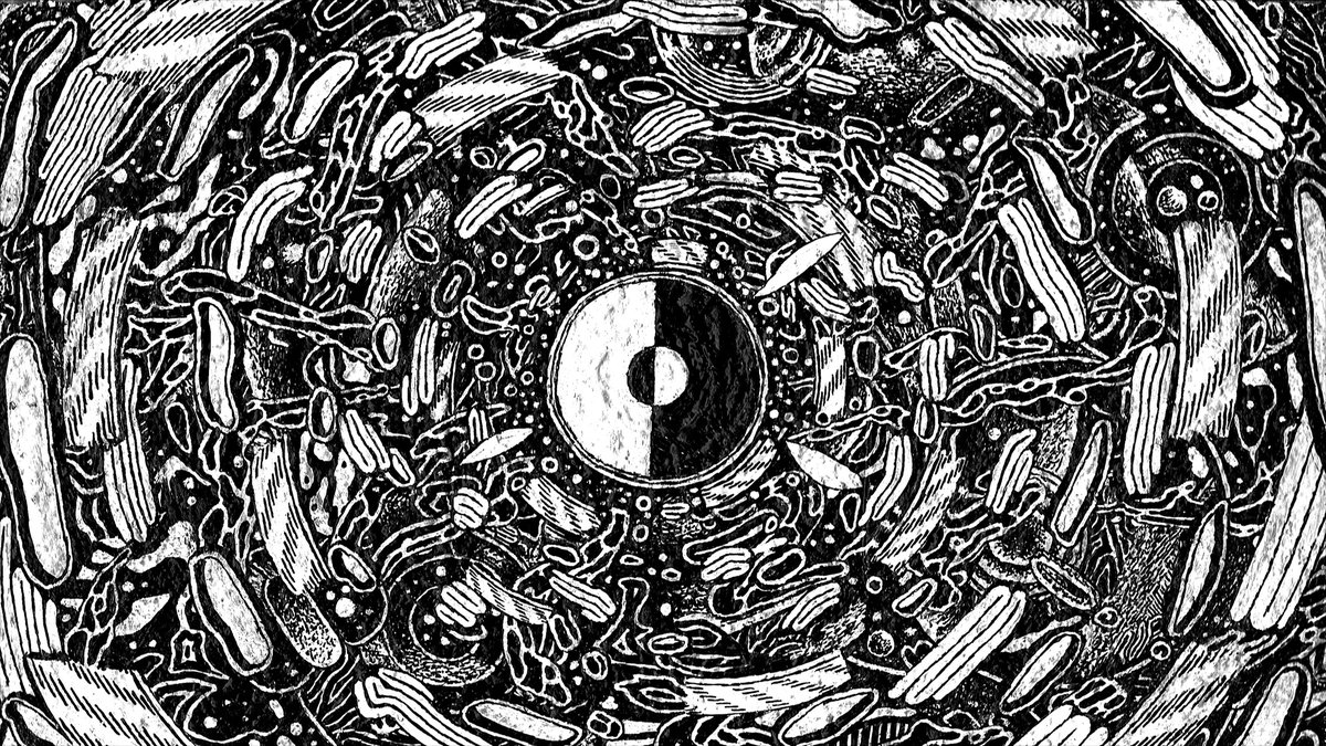 JakeFriedBot's tweet photo. βοΈπβ¨ Tiptop - Night Visions #1306 bought by 0x0945C... for 0.35 ETH https://t.co/Ndx9Yl53aN #JakeFried @jakejfried https://t.co/Mf199Fpj4c