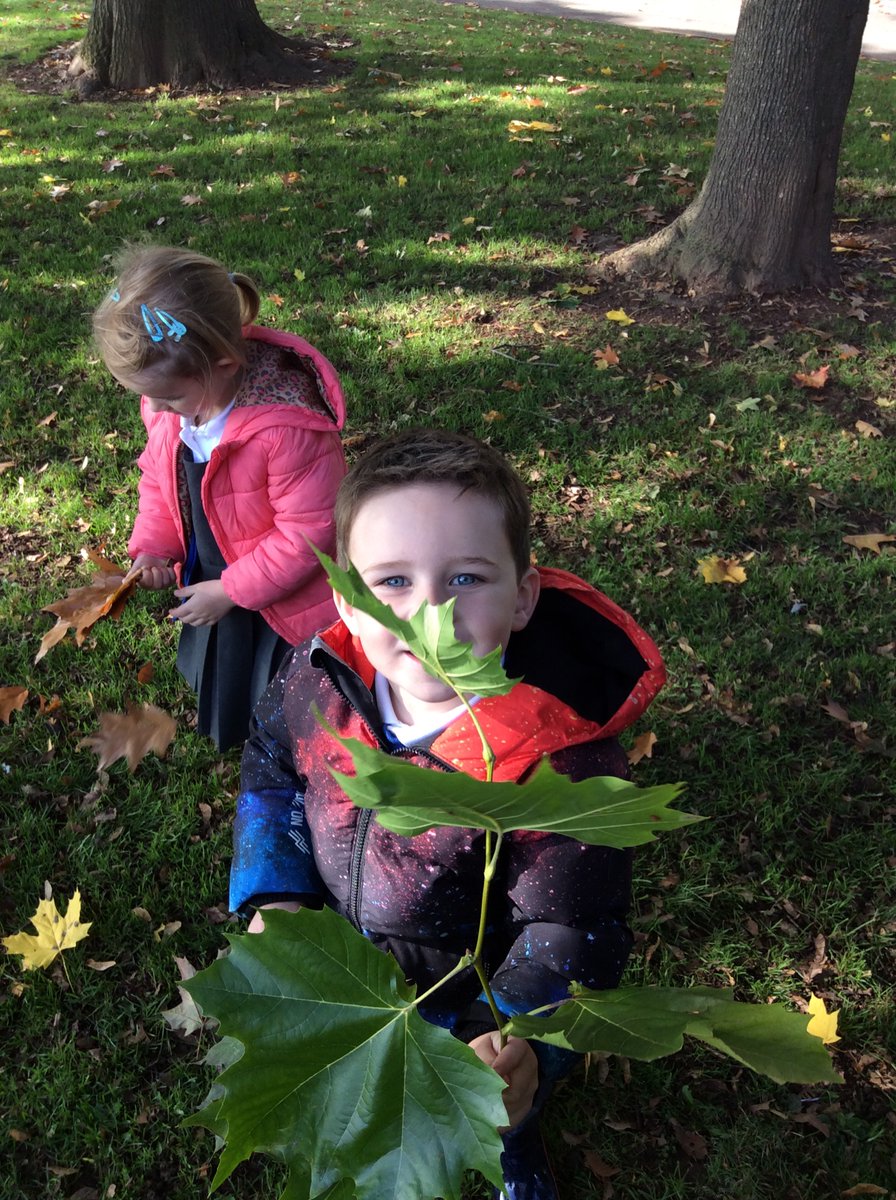 gfprimarycov's tweet image. Reception loved their Autumn welly walk this week 🍁🍂 #GFReception #AutumnWellyWalk
